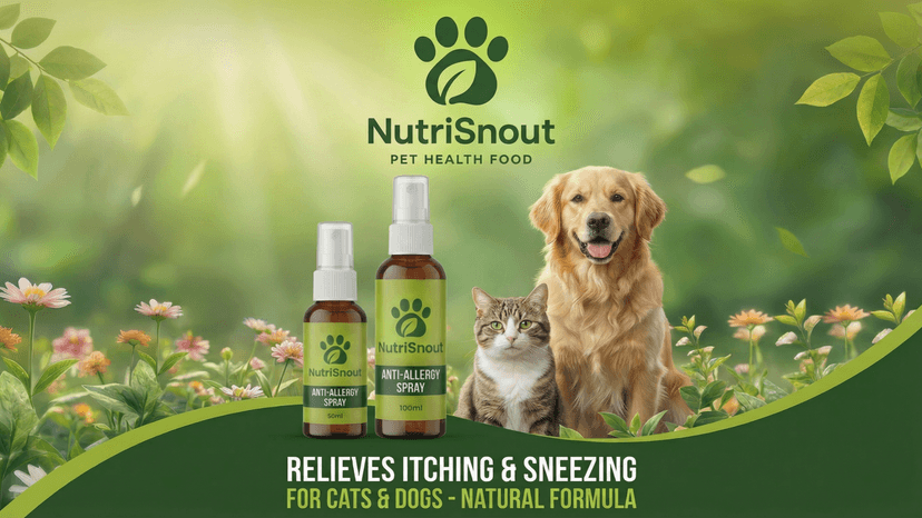 Antiallergic Essential Oil for Pets